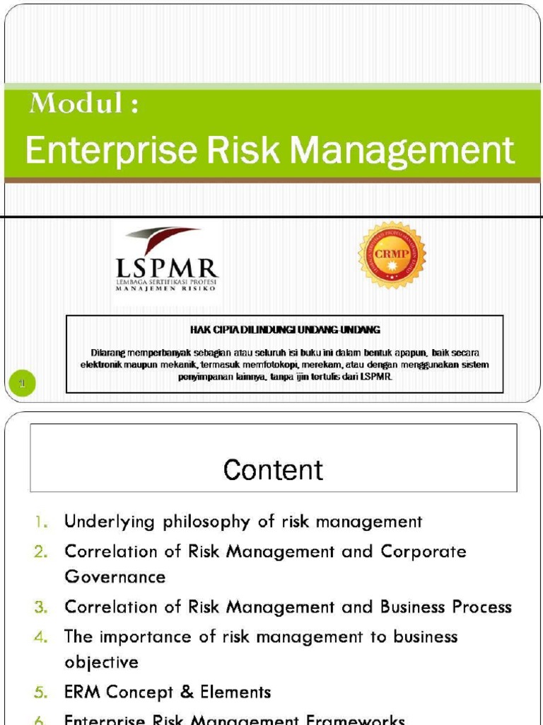 Enterprise Risk Management | PDF