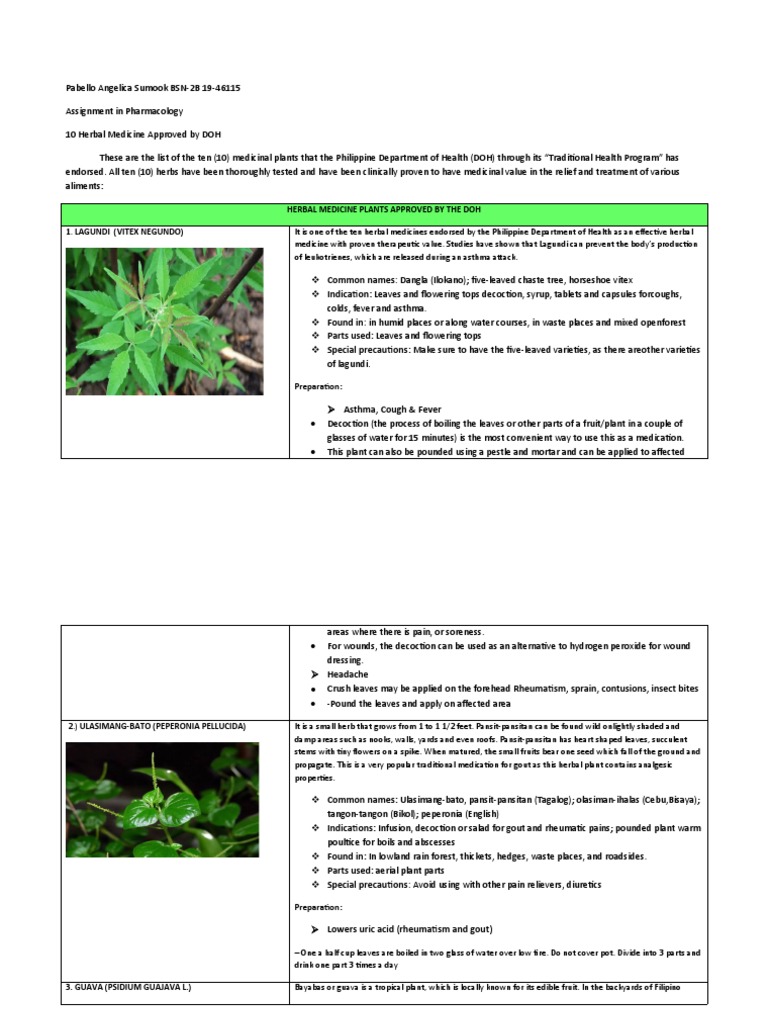 10 Herbal Medicine Approved by DOH PDF Garlic