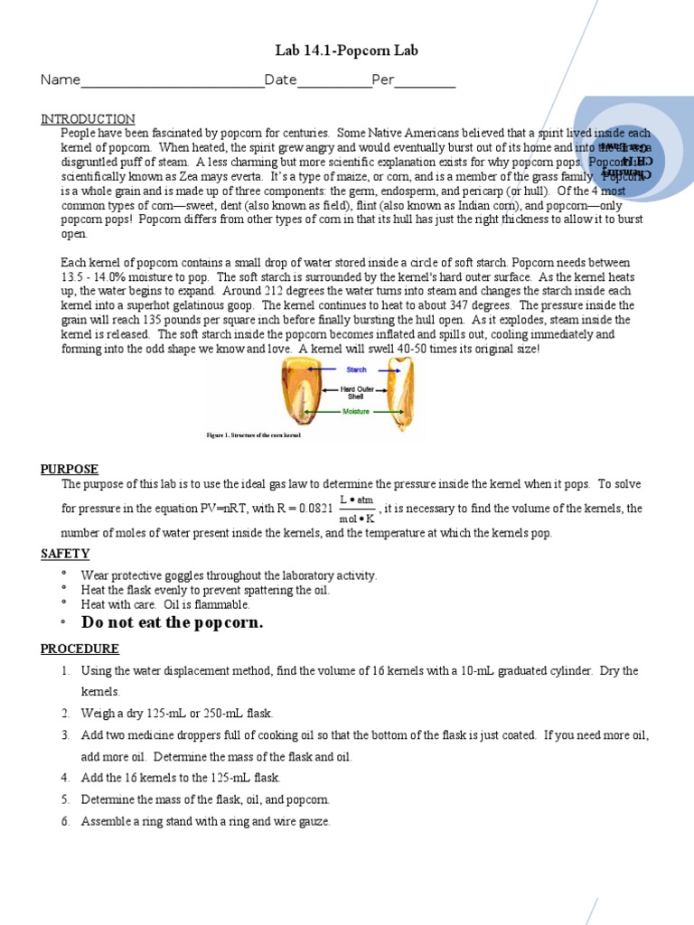 Ideal Gas Law Popcorn Lab PDF Popcorn Nature