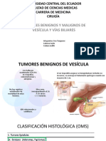 Tumores Benignos y Malignos de Vesicula y Via Biliar