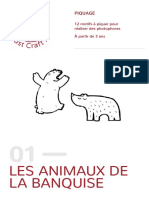 animaux banquise
