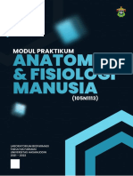 MODUL PENCERNAAN