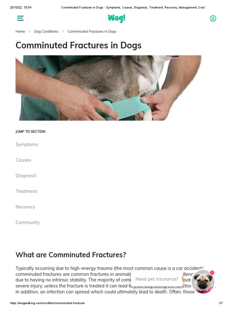 Comminuted Fractures in Dogs Symptoms, Causes, Diagnosis, Treatment