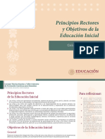 Principios rectores y objetivos de la Educación Inicial
