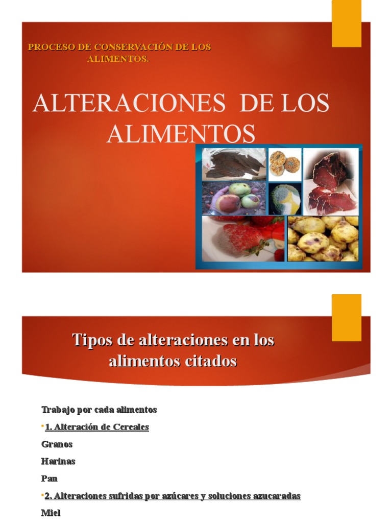 Trabajo Alteracion de Los Alimentos 1 | PDF