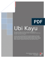 904111-Ubi-Kayu