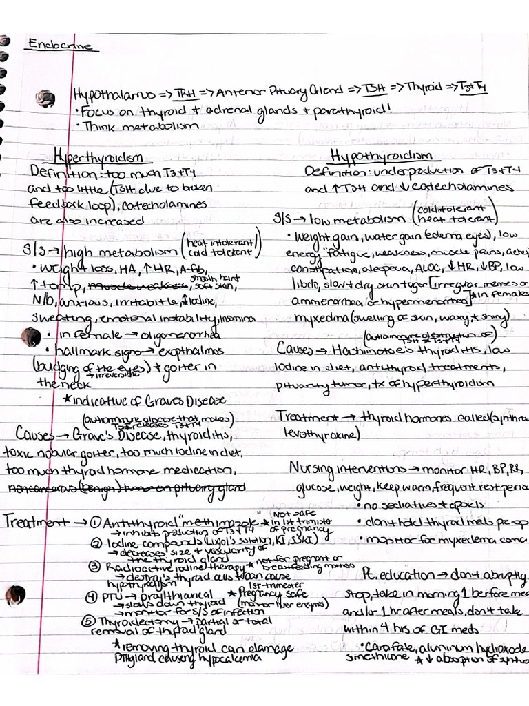 My Notes | PDF