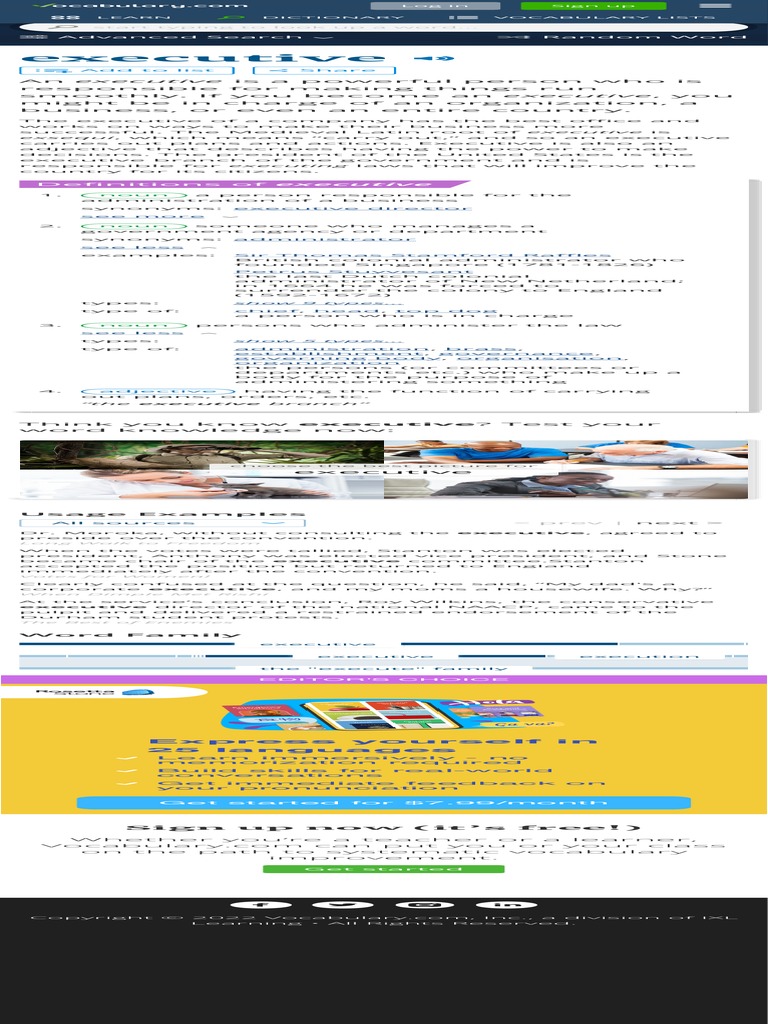 executive-definition-meaning-synonyms-pdf