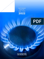 Informe Anual Del GLP 2022