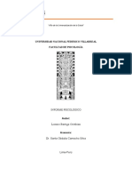 Informe Psicologico Acra