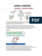 Raquídea y Epidural