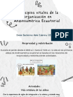 Principios vitales de la organización en Andinoamérica Ecuatorial