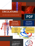 Sistema Circulatorio