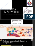 Sistema Linfatico