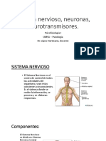 Sistema Nervioso, Neuronas, Neurotransmisores