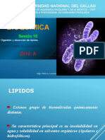Clase 11 - Lipidos