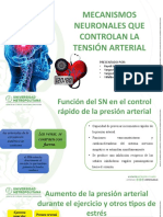 Mecanismos Neuronales Que Controlan La TA