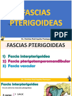 Fascias Pterigoideas