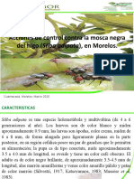 Control de la mosca negra del higo en Morelos con productos químicos y trampeo