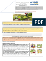 Agricultura ecológica y uso sostenible del suelo