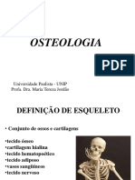 O Esqueleto Humano: Estrutura, Funções e Classificação dos Ossos