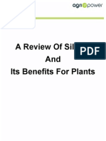 A Review of Silicon and Its Benefits For Plants