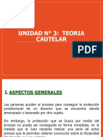 UNIDAD N - 3 - Teoría Cautelar PDF