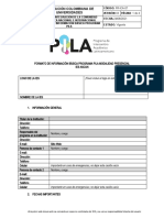 FR Ica 07 Formato de Informacion Basica Programa Pila Ies Ascun