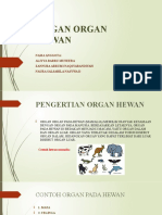 Organ Organ Hewan