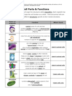 Cell Parts and Functions