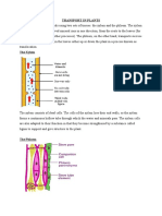 Transport in Plants and Transpiration Notes