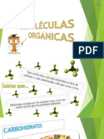 Biomoleculas Organicas