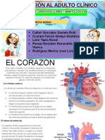 Cardiovasculares y Hematologicos