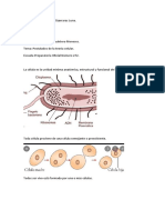Postulados de La Teoria Celular