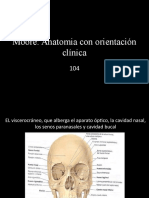 Anatomia Clinica