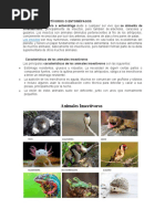 Animales Insectívoros o Entomófagos