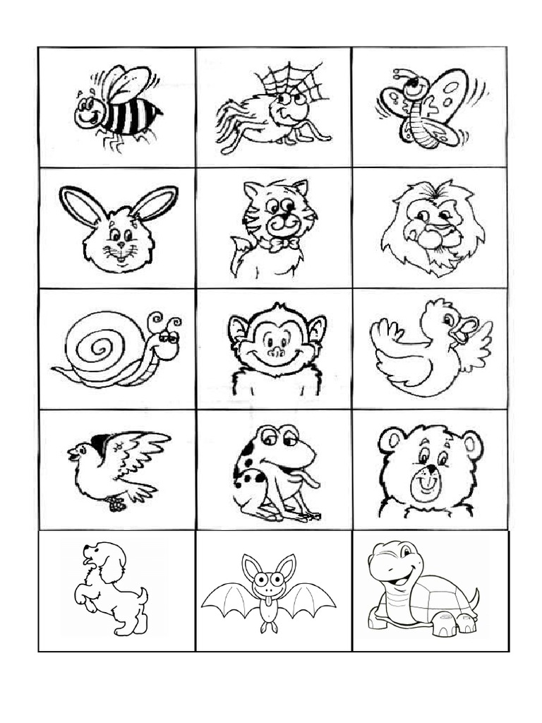 First Class - Animals | PDF