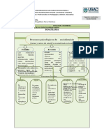 Diagrama Sociología