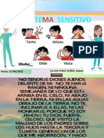 El Sistema Sensitivo