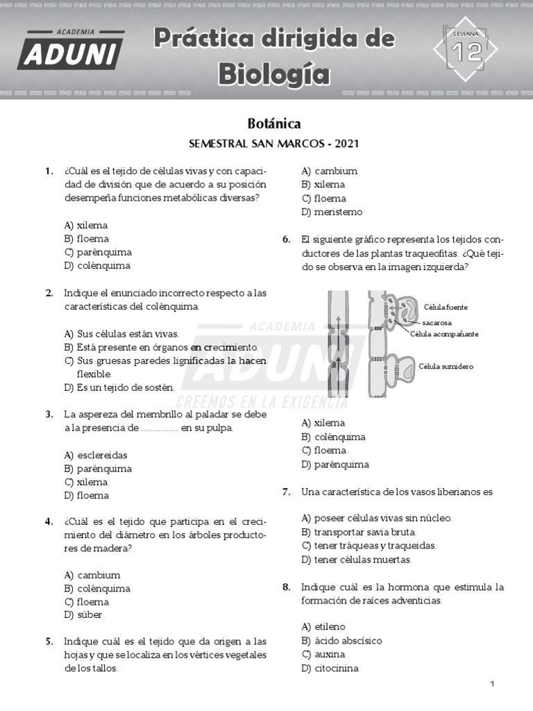 BOTANICA | PDF | Morfología (biología) | Fisiología