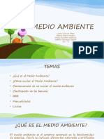 Medio Ambiente