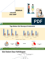 Program Gizi Remaja UKS