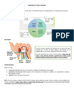 Sindrome de Tunel Carpiano