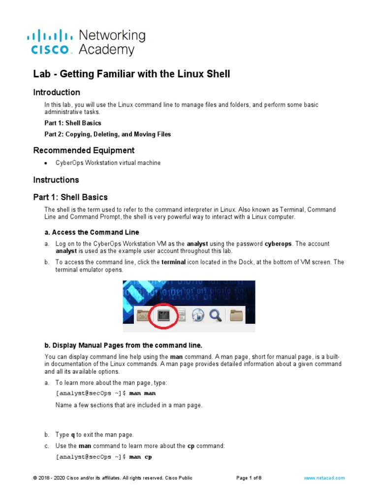 Linux Shell Basics Lab Guide | PDF | Command Line Interface | Computer File