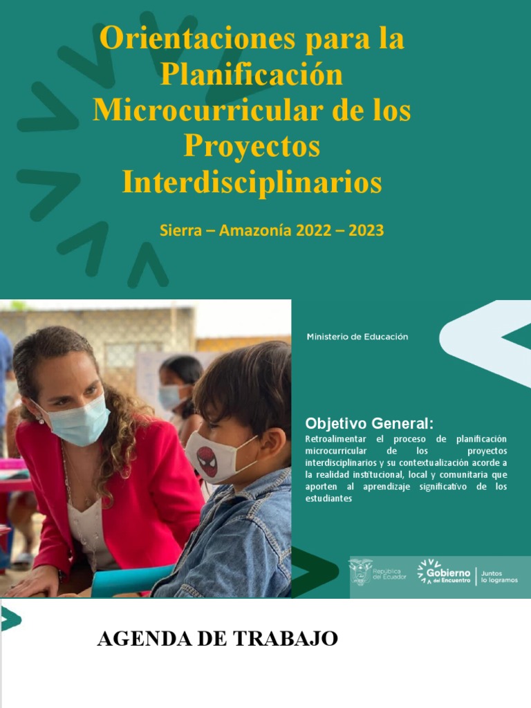 Planificación de Proyectos Interdisciplinarios | PDF | Plan de estudios ...