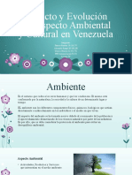 Impacto y Evolución Del Aspecto Ambiental y Cultural