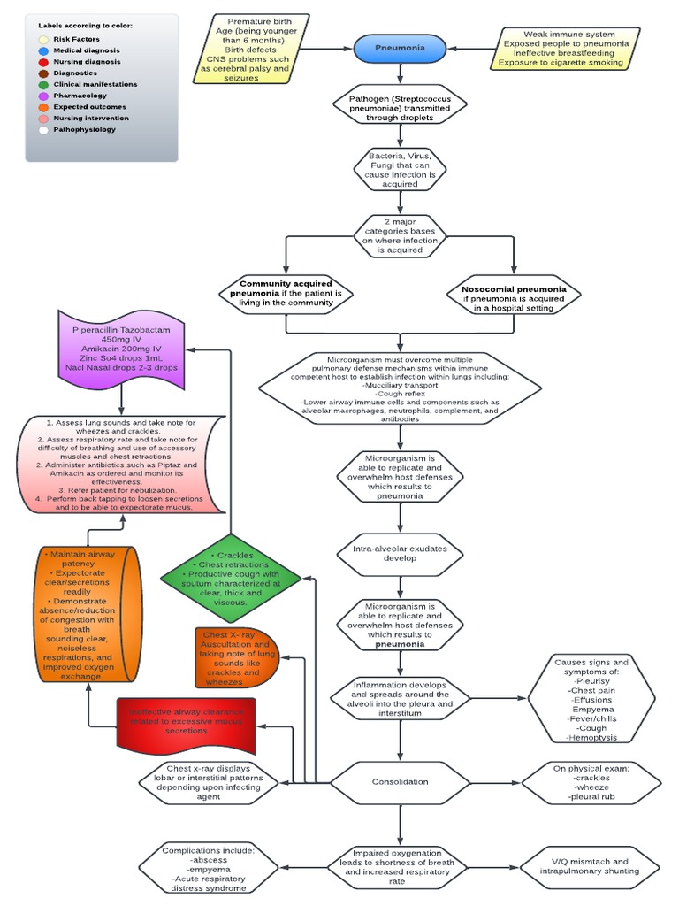 Pneumonia Etiology And Pathophysiology