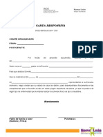 Carta Responsiva