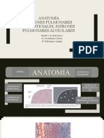 Anatomia Patrones Intersticiales