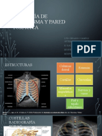 Anatomía de Diafragma y Pared Torácica